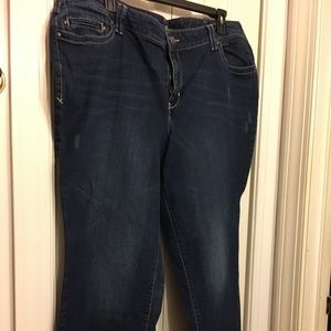 Lane Bryant Plus-Size Jeans 24